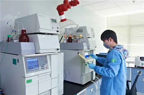 黑天鵝侵襲下的逆勢增長 一家花卉企業的銷售奇跡