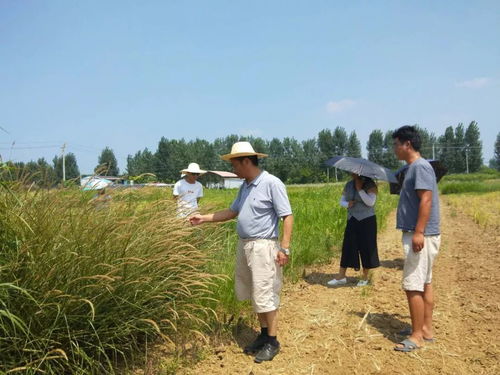 緊跟市場熱點，優化產品結構 公司赴鄭州研學宿根花卉與觀賞草產業發展