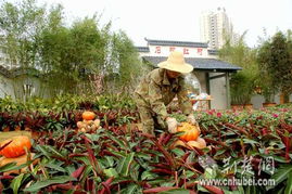 東西湖特產亮相2009武漢花卉展，彰顯地域特色