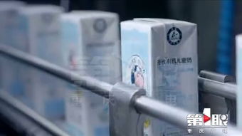 參觀加工廠，埋下生態種子——暑期小記者夏令營紀實