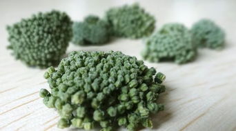 三七的奇妙力量 輕松解決14種常見問題的天然良方