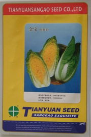 冷地王白菜種子 北京田園三高種子的花卉級(jí)蔬菜新選擇