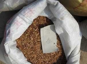 哈爾濱金龍農(nóng)業(yè) 世界工廠網(wǎng)全球企業(yè)庫(kù)中的花卉產(chǎn)業(yè)翹楚