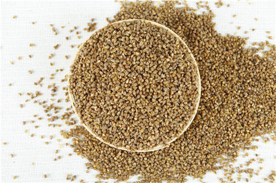 苦蕎茶的奧秘 從田間種植到杯中飲品，詳解其降壓功效與市場(chǎng)價(jià)值