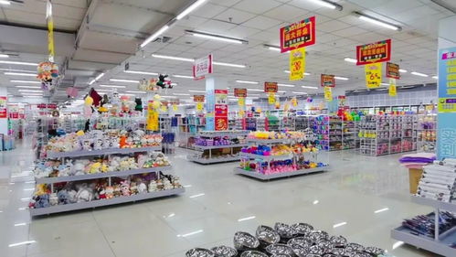 1400㎡寶藏市場揭秘 昌平花卉區(qū)，千余種商品任你淘，實(shí)惠好貨一網(wǎng)打盡