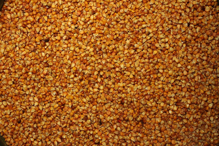 釀香深處的自然饋贈 從白色稻穗到繽紛花卉的釀造之旅