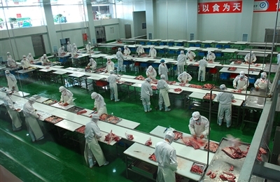 塞外花海，北疆綠洲 向世界展示一個(gè)全面、客觀、真實(shí)的巴彥淖爾