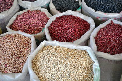 豌豆種子與肥料 從選種到豐收的科學(xué)指南