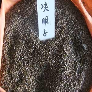 決明子種子的供應與種植方法詳解
